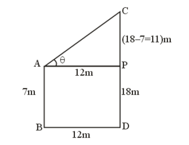 Two poles of heights 18 metre and 7 metre are erected on a ground.