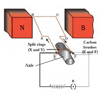 Neat lable diagram of electric motor