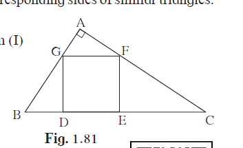 In the given figure, the vertices of square DEFG are on the sides of ∆ABC. ∠A = 90