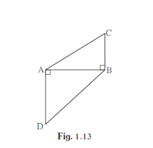 practice set 1.2 similarity Fig 1.13